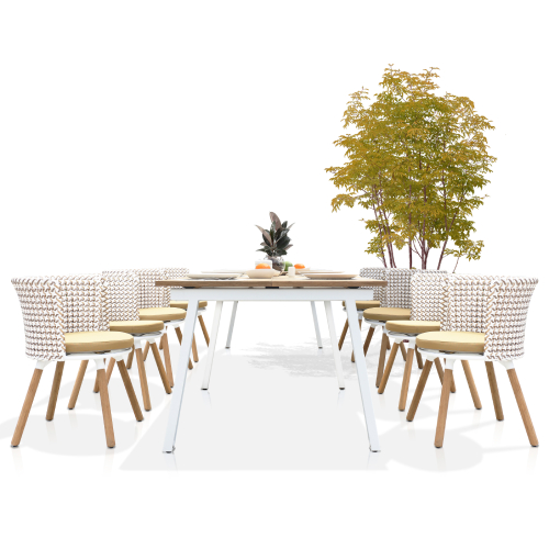 MAXXIMUS Extension Table & DAISY MAE Dining Chair