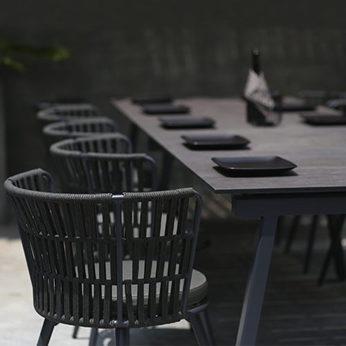 DAISY RAE Dining Chair