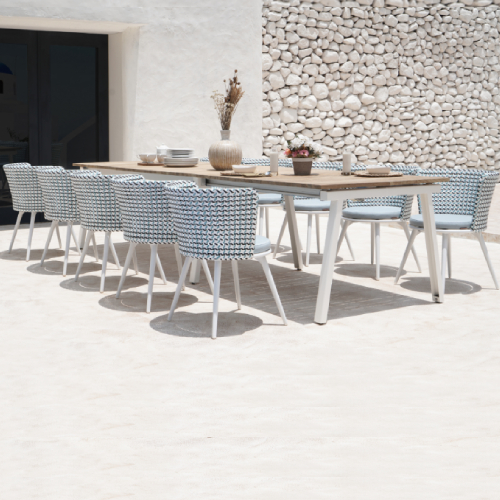 MAXXIMUS Ext Table & DAISY MAE Dining Chair Alu Legs