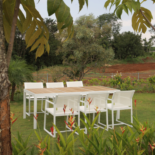 ALLUX Dining Table & Carver Chair