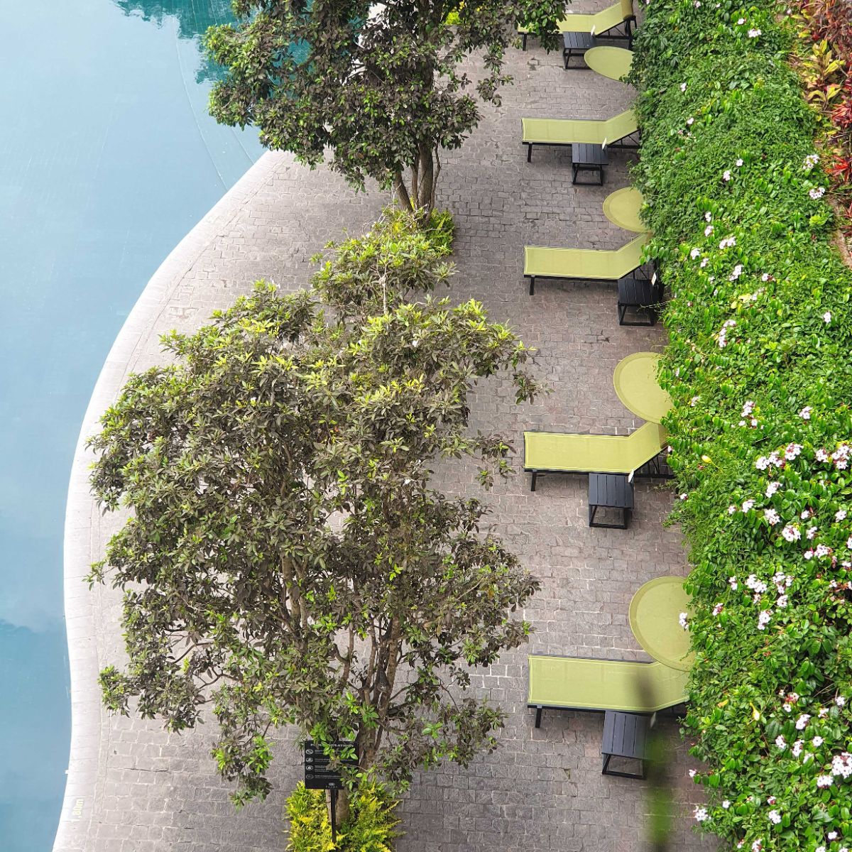 ALLUX_Casual Chair_Padded_Sling