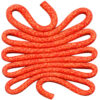 Rope Coral